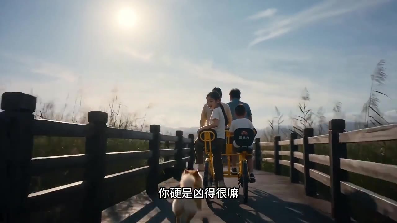 它的一辈子 样片 3